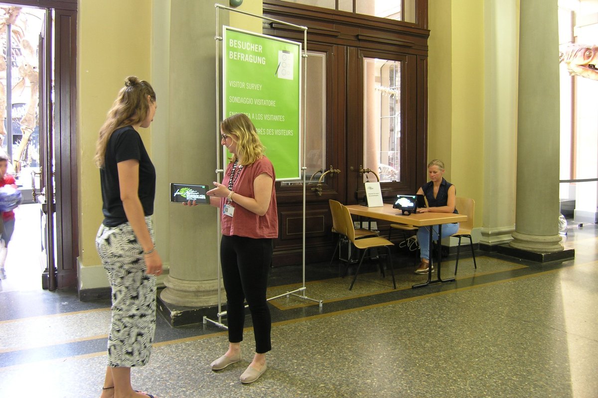 Látogatókutatás Németországban