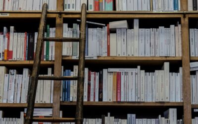 Párbeszéd a könyvtári látogatókkal – Interjú a szegedi Klebelsberg Kuno Könyvtár felméréseiről