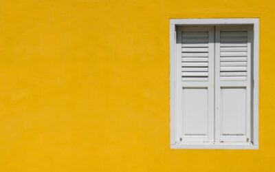 Múzeumi látogatókutatás zárva tartás idején